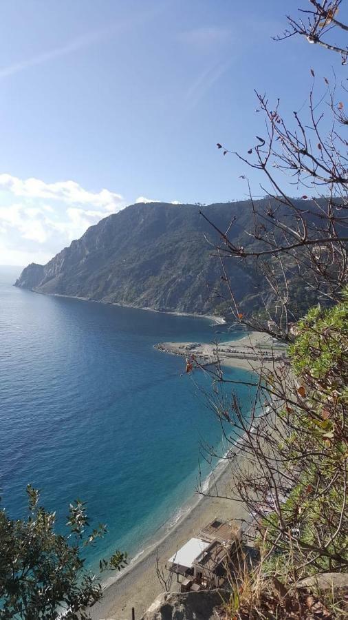 Appartamento Le Conchiglie Monterosso Al Mare Eksteriør bilde